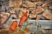 Gold Miner’s Dishes