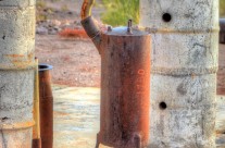 Gold Miner’s Flamingo Still?