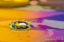 Water Drops: 7 Fascinating Stages