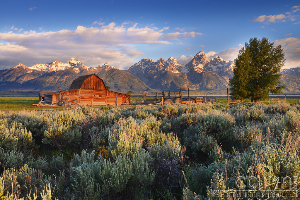 Grand Tetons Mormon Row Barn Caryn Esplin Caryn Esplin Fine Art
