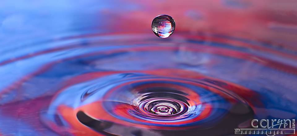 Purple Coil - Water Drop Photography - Caryn Esplin