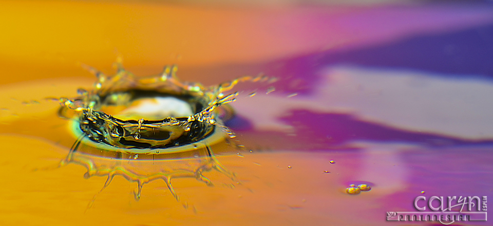 Orange Splash Crown - Water Drop Photography - Caryn Esplin
