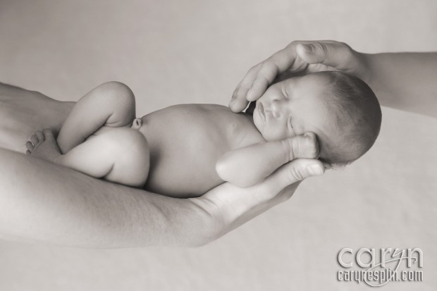 Newborn Photography - Rexburg Idaho