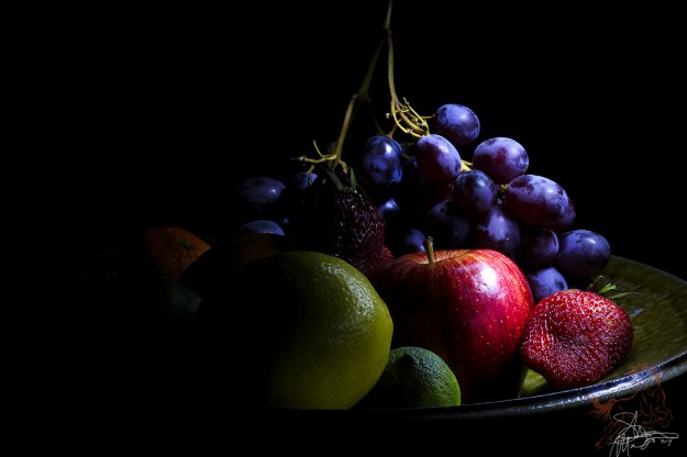 shannonmactaggart_flora_fauna_light_painting