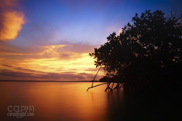 Magdalena Bay, Mexico, Mangroves, Milky Way, Sunset, Bare Bones Tent, ND Filter, Long Exposure, Waterscape, Nightscape, Light Painting