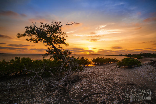 CarynEsplin-ShellBeachSunset-Magdalena Bay, Mexico, Mangroves, Milky Way, Sunset, Bare Bones Tent, ND Filter, Long Exposure, Waterscape, Nightscape, Light Painting